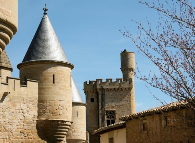 Castillo de Olite en Navarra