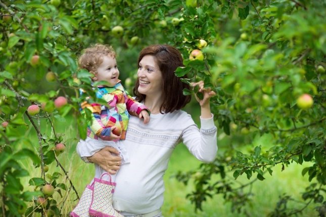Arbol, bebe, embarazada, manzanas
