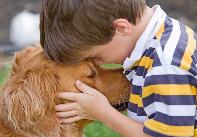 Las mascotas influyen positivamente en los niños