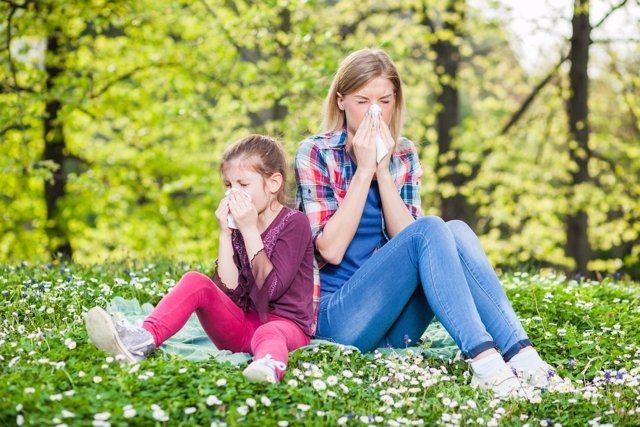 El 20 por ciento de los niños padece alergia